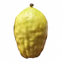 0c20a953-be70-4eb5-bc09-ffc2294d8eff-no-bg-preview (carve.photos)