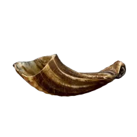 шофар5