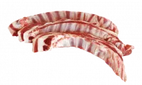 rebra_baran