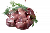 g-RueBp8mfs-no-bg-preview (carve.photos)