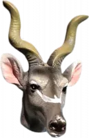 Shofar magnet