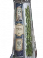 a963ab1d-7dc8-4480-969a-ae3f3764ab63-no-bg-preview (carve.photos)