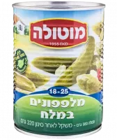 НоменклатураПрисоединенныеФайлы