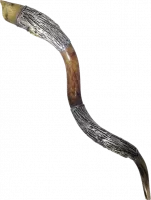 Silver-plated shofar, with the pattern of the spies, handmade_2