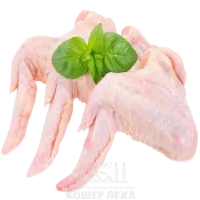 RQ96nO0kbjA (1)-no-bg-preview (carve.photos)