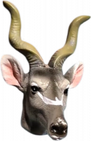 Shofar magnet