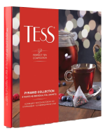 4605246011849_Tess-perfection-tea_set-9piram-3